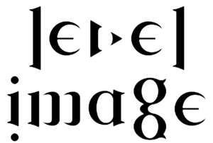 Level Image Logo6